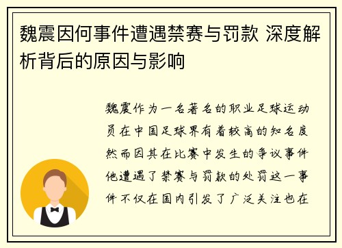 魏震因何事件遭遇禁赛与罚款 深度解析背后的原因与影响