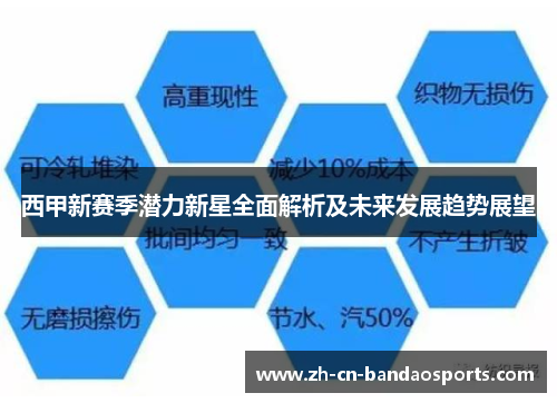 西甲新赛季潜力新星全面解析及未来发展趋势展望